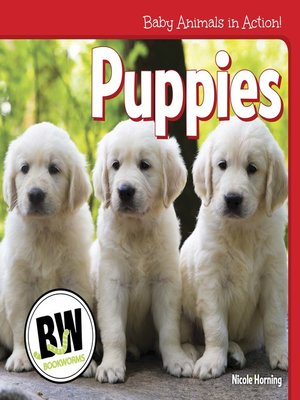 cover image of Puppies